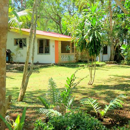 Alonaland Resort Panglao City Exterior foto