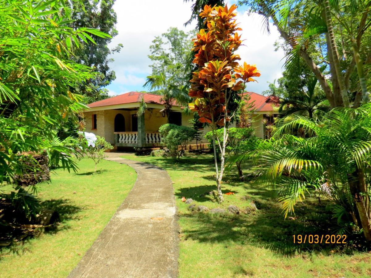 Alonaland Resort Panglao City Exterior foto