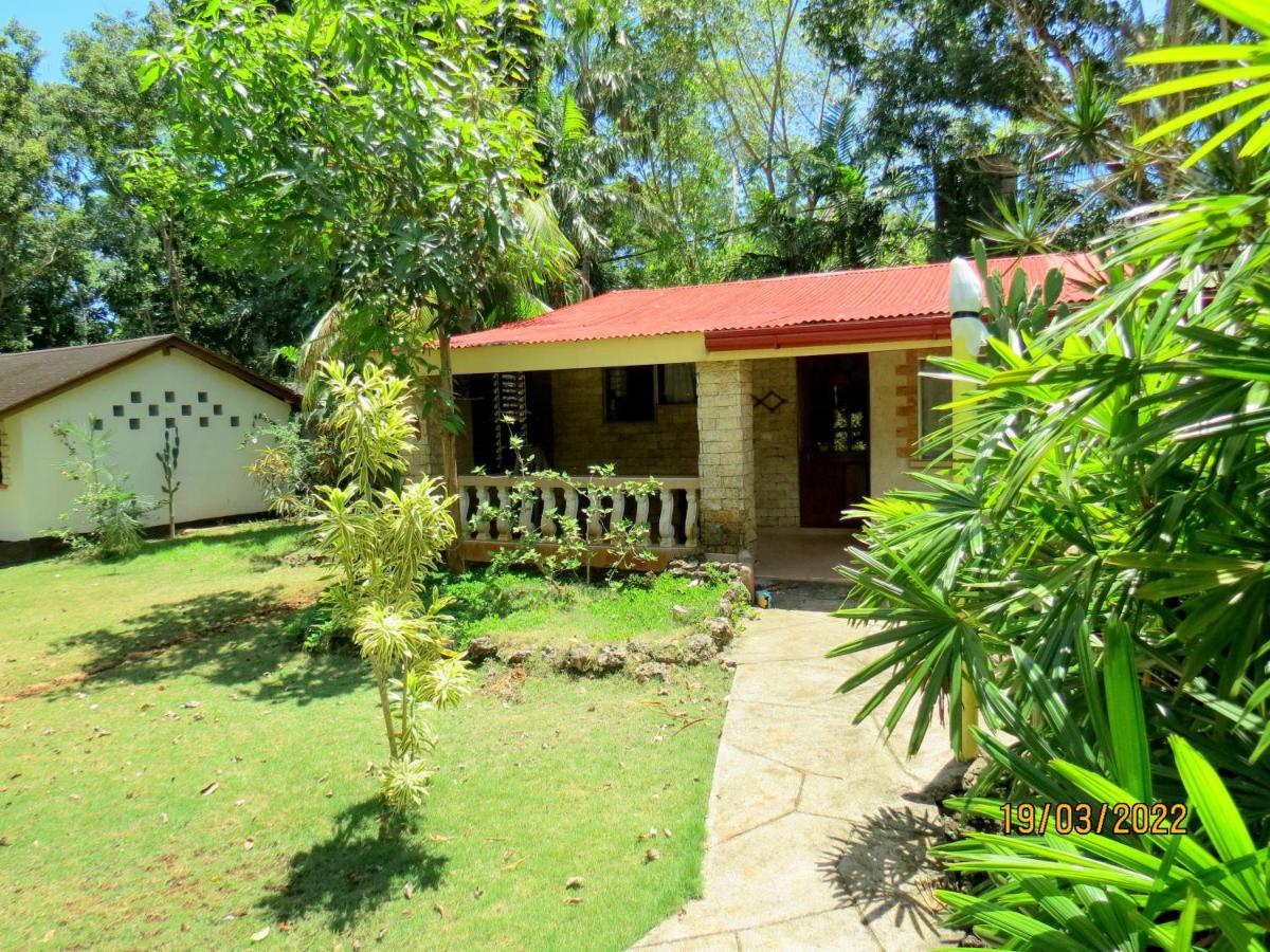 Alonaland Resort Panglao City Exterior foto