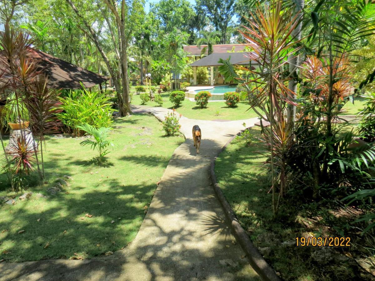 Alonaland Resort Panglao City Exterior foto