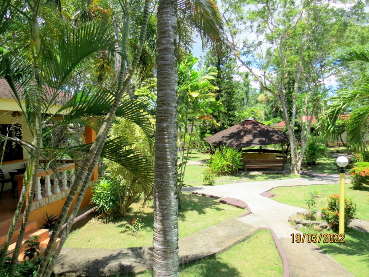 Alonaland Resort Panglao City Exterior foto