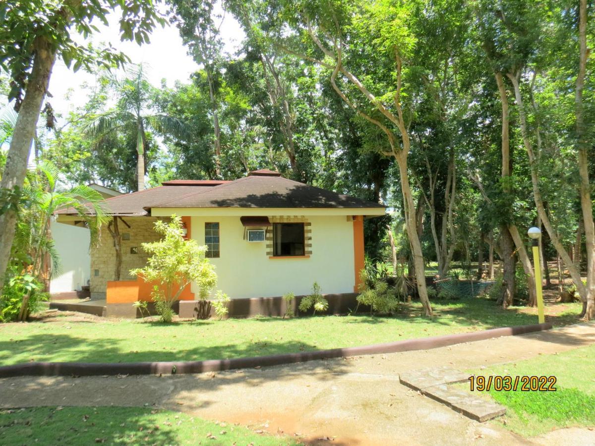 Alonaland Resort Panglao City Exterior foto