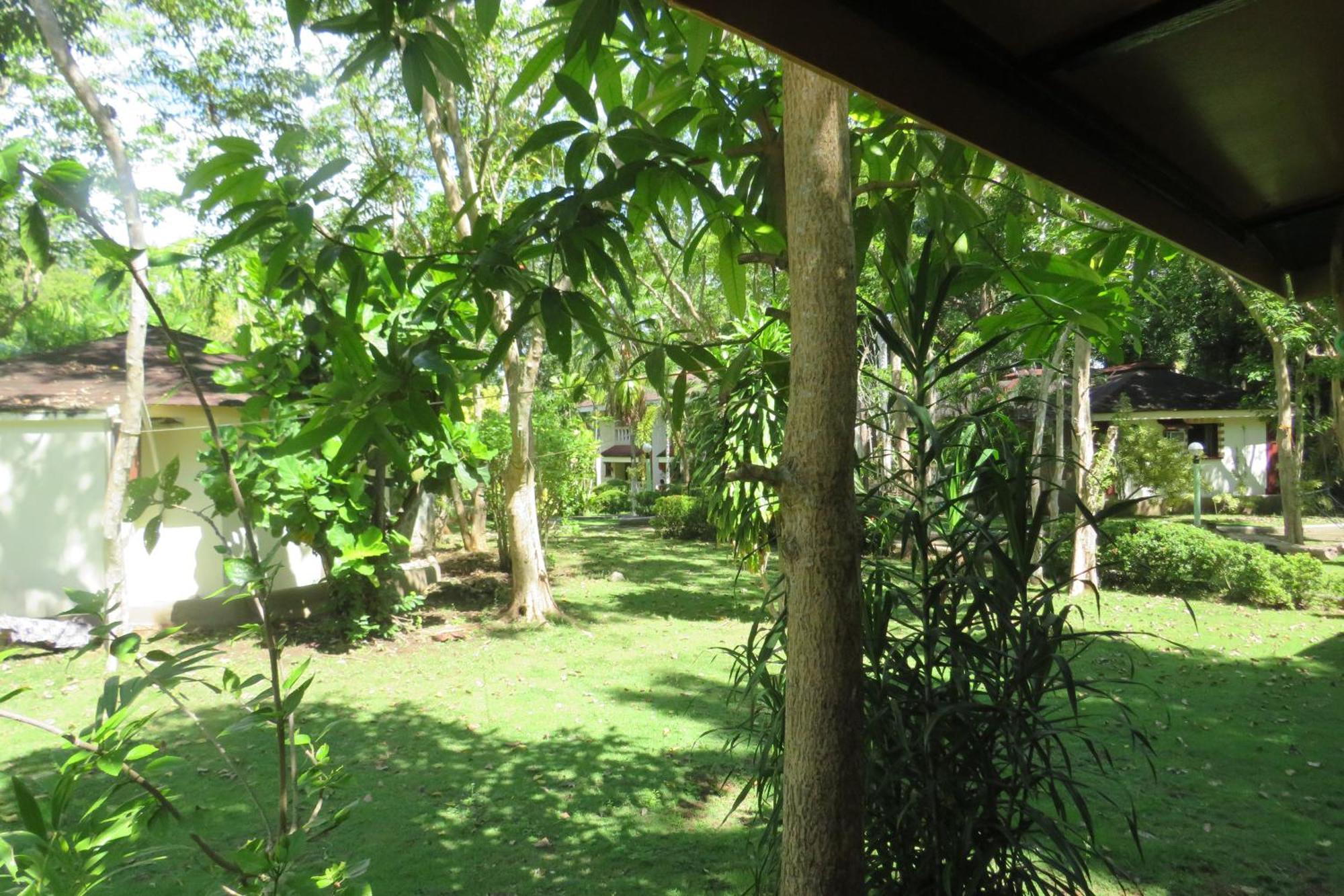 Alonaland Resort Panglao City Exterior foto