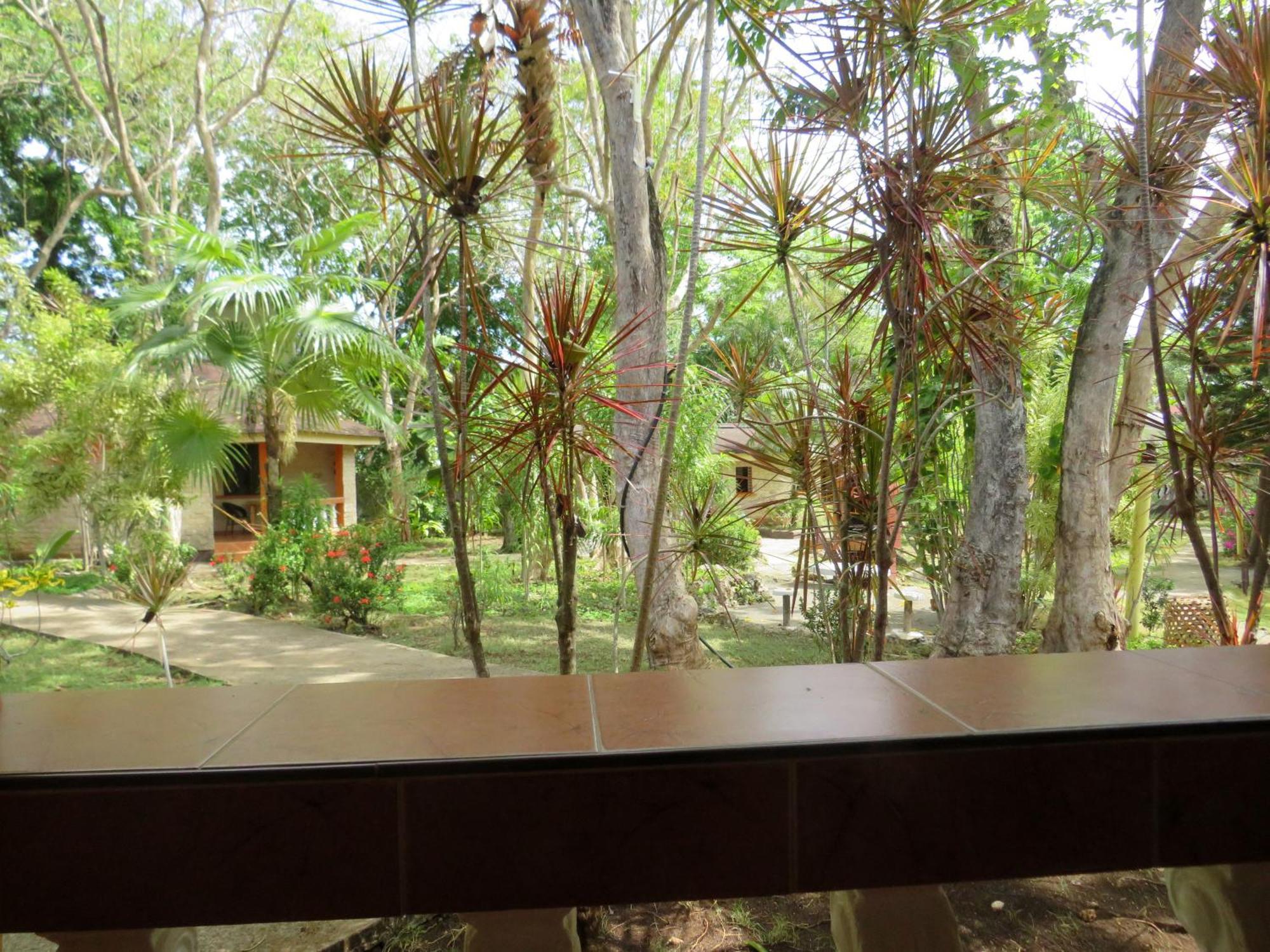 Alonaland Resort Panglao City Exterior foto